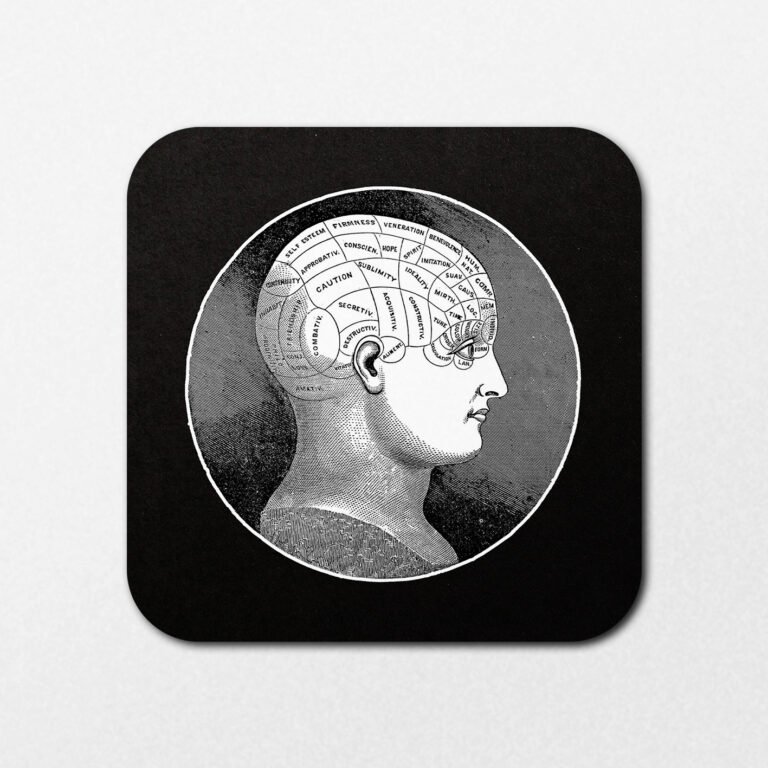 Product Code: HC7313 - Phrenology