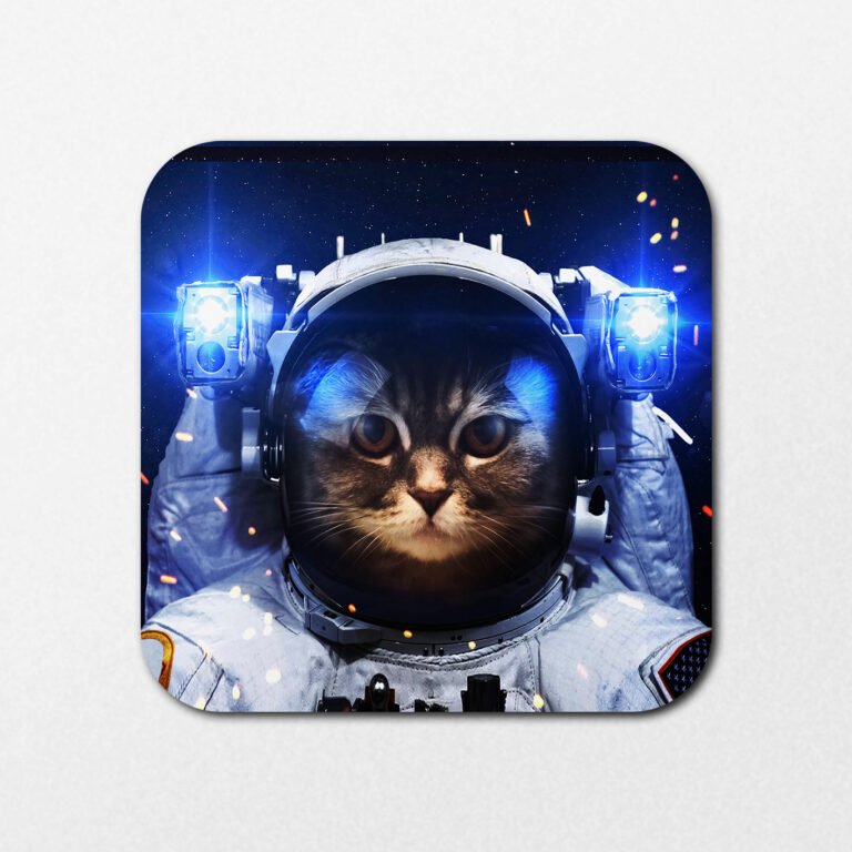 Product Code: HC7323 - Space Cat